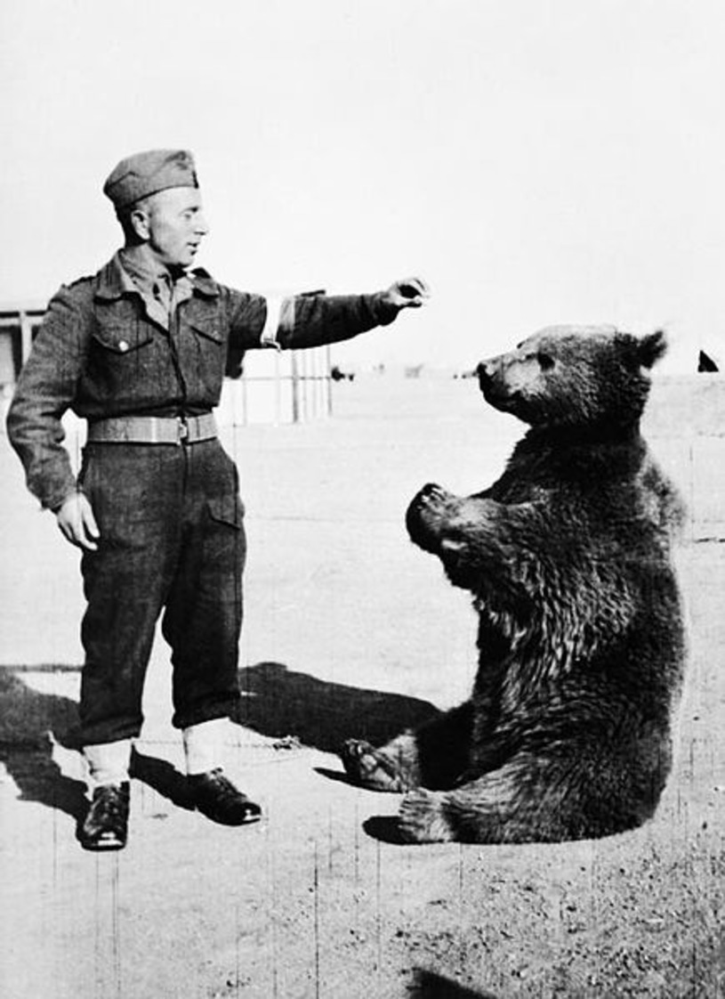 wojtek 1