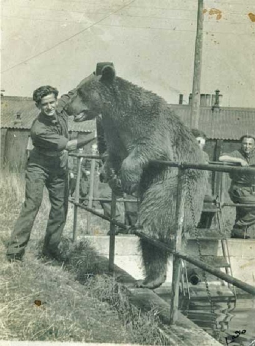 wojtek 4