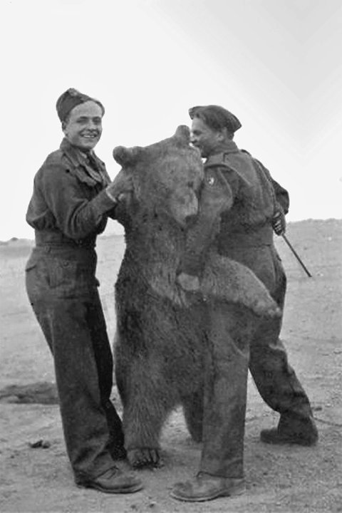 wojtek 5