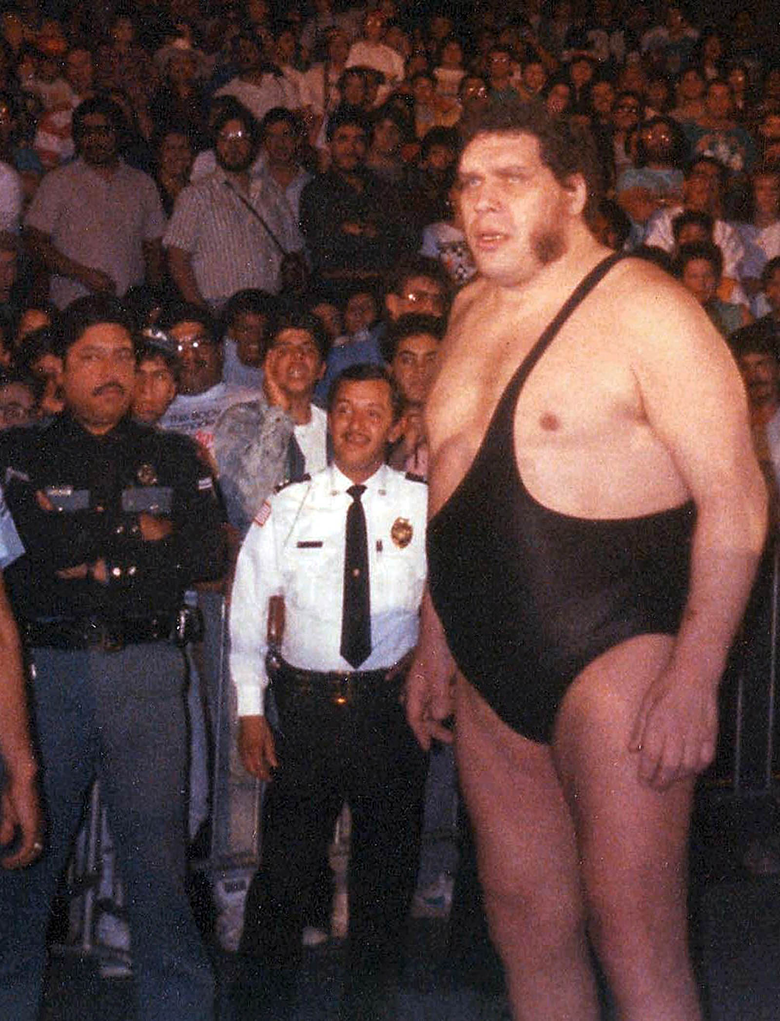 andre the giant 3